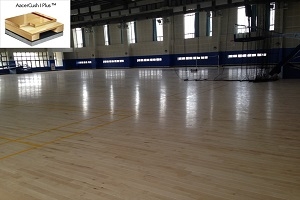 彰北國民運動中心|運動木地板,球場地板,多功能計分板,楓木球場,球場PVC