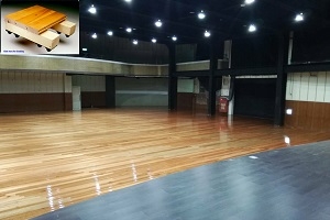 台灣體育運動大學|運動木地板,球場地板,多功能計分板,楓木球場,球場PVC