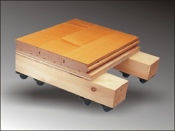 多功能計分板,運動木地板